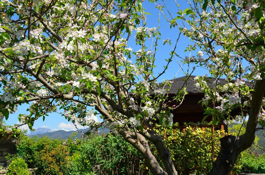 Casa Rural La Era Sieste Exteriér fotografie